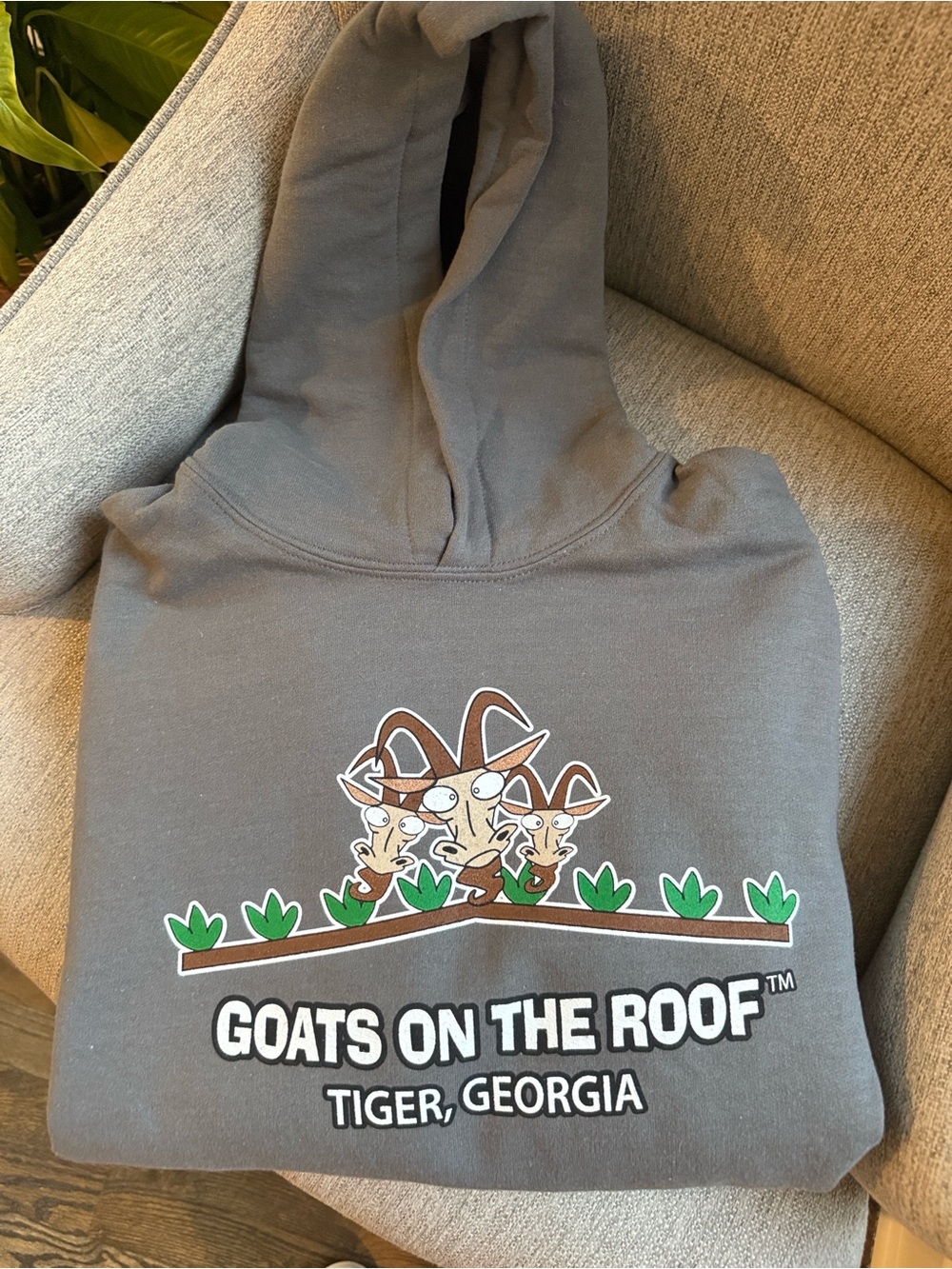 Youth Gray Hoodie - Goats on the Roof Tiger, Georgia *READ*